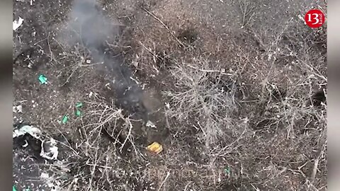 Unique shots from Ukraine: Drone bombs Russian occupiers