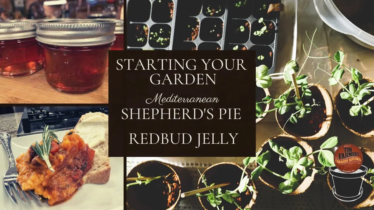 Shepherd's Pie, Basics on Starting Tomatoes with KSU (Seed Planting & More) and Redbud Jelly (#1103)