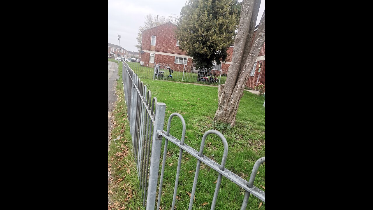 Squirrel on steriods lol lal💜🙏💜🤣🧙‍♂️🐿️💩