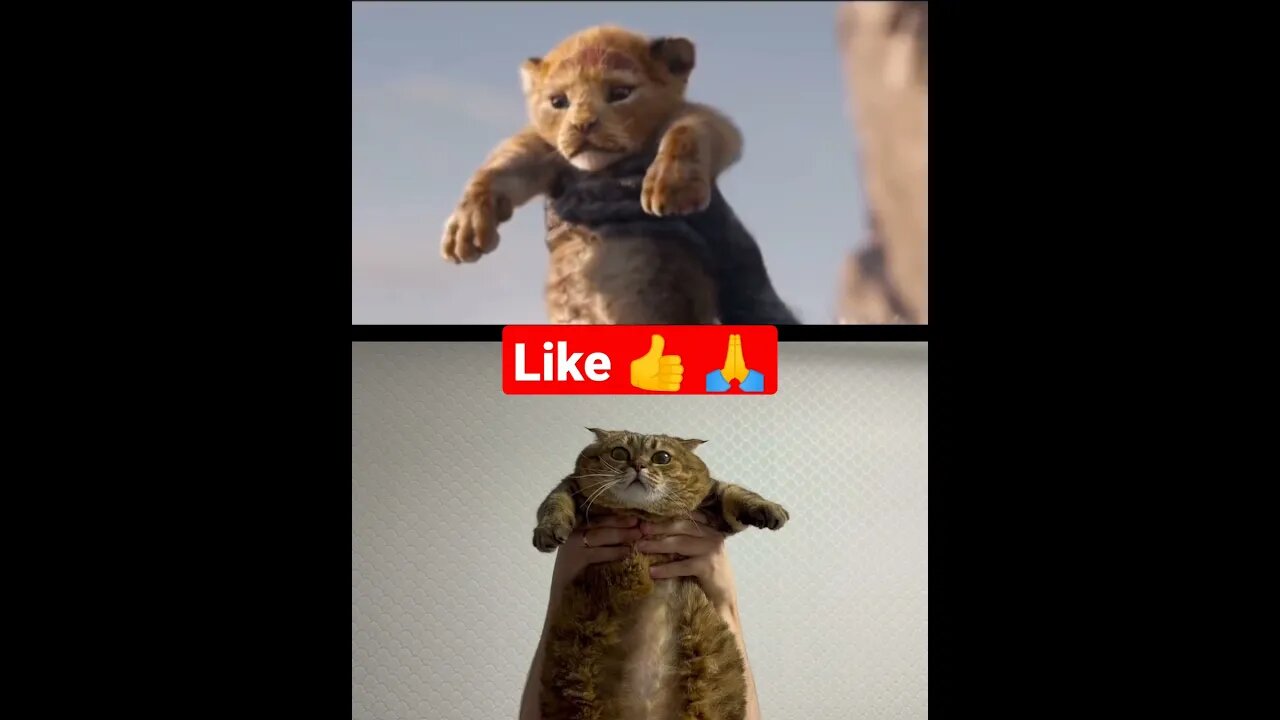 Lion king 😂👑 #shorts #youtubeshorts #short