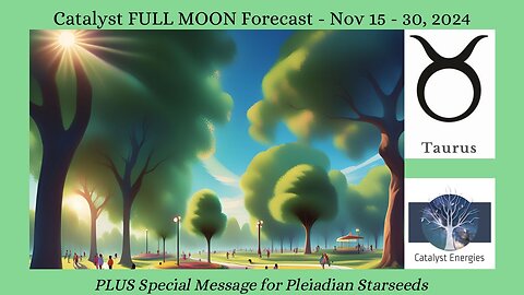 Catalyst TAURUS FULL MOON FORECAST - Nov. 15 - 30, 2024 *SPECIAL MESSAGE FOR PLEIADIAN STARSEEDS*