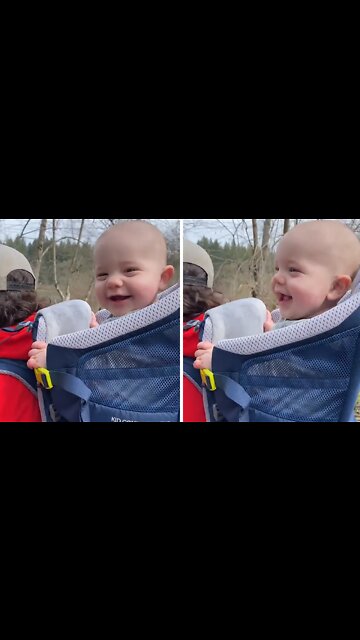 Happy Baby Totally Enjoys His New Personal Backpack