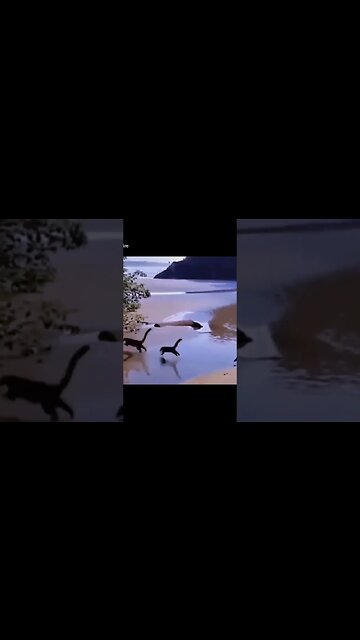 BABY DINOSAURS #lochnessmonster