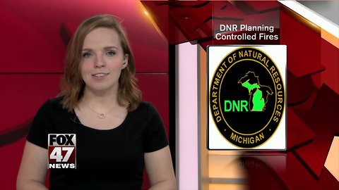DNR planning controlled fires
