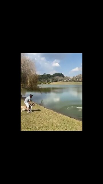 Dog vs otter ! #Shorts #ytshorts #UbertainmentFun #Dogs #Animals #Fun #otter