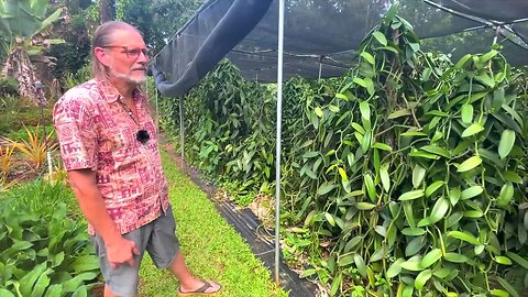 How to visit a Vanilla homestead garden in Kapaa Kauai