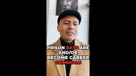 Prison Rats Are Career Criminals