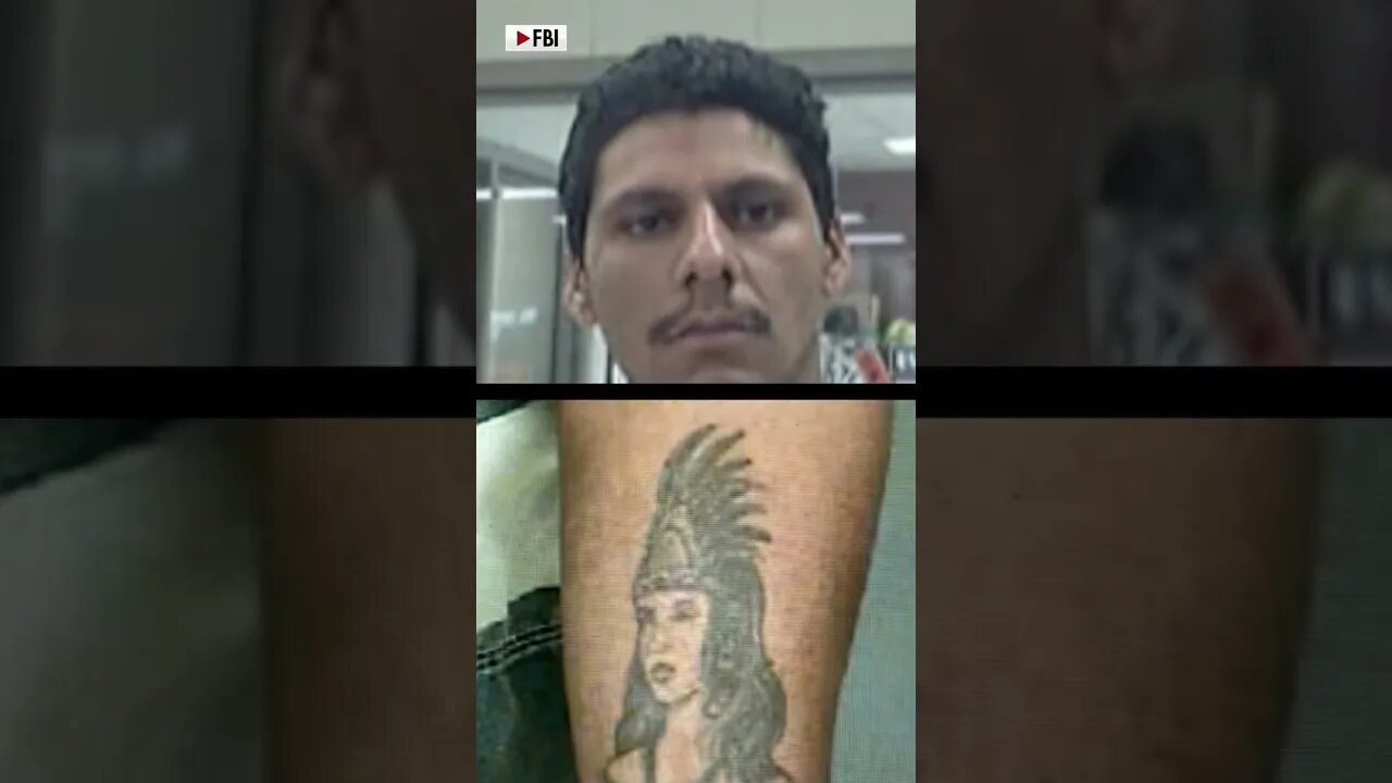 Fox News, Is In The US Illegally