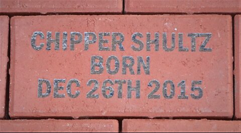 7-3-2018 - Chipper Gets His Brick At Berwick Community Dog Park