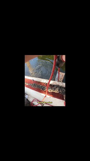 You Won't Believe How Strong This Fishing Magnet Is! #magnetfishing #giantmagnet #shorts