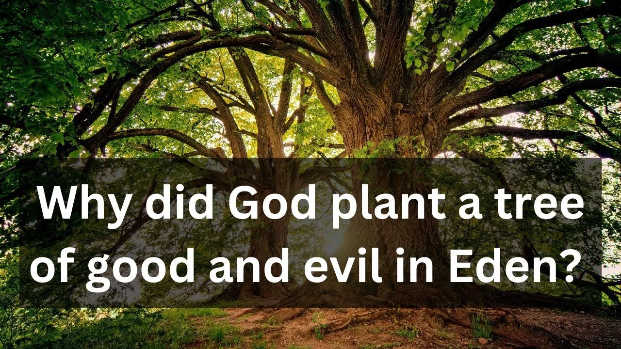 Why did God plant a tree of good and evil in Eden?