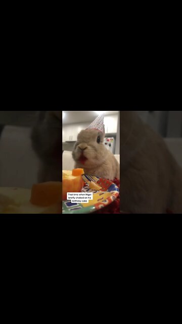 Most Amazing and trending video||relaxing your mind||trendig videos|| #shorts #trending #viral #live