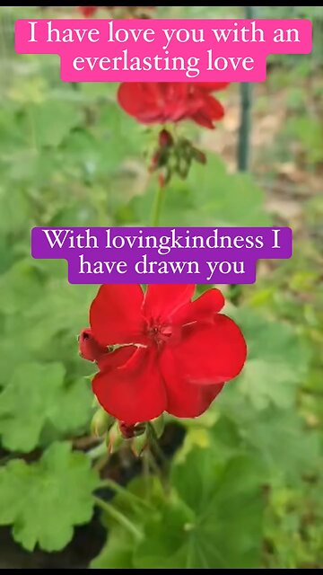 God loves us with an everlasting love His lovingkindness draws us #jeremiah 31#Jesus #bible Israel