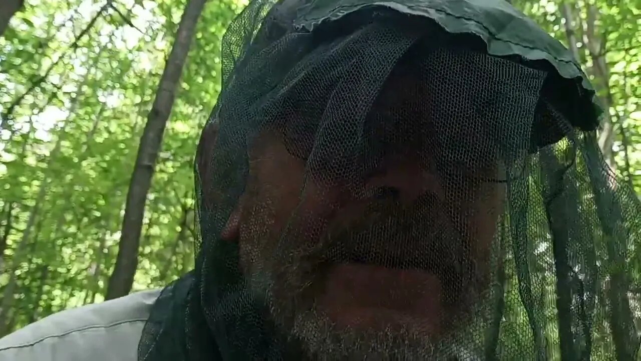 first hang and an over night in new hammock my granddaughter got me for father day