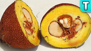 African Buttertree Fruit | Fruits You've Never Heard Of