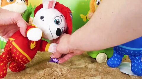 Video de aprendizaje para niños - ¡Picnic de la Paw Patrol!