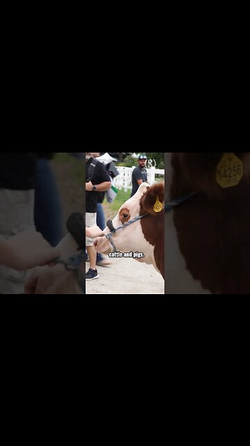 This Iowa teenager doesn’t want to pay another cent more on gas for his family’s farm #IowaStateFair