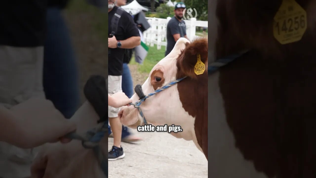 This Iowa teenager doesn’t want to pay another cent more on gas for his family’s farm #IowaStateFair