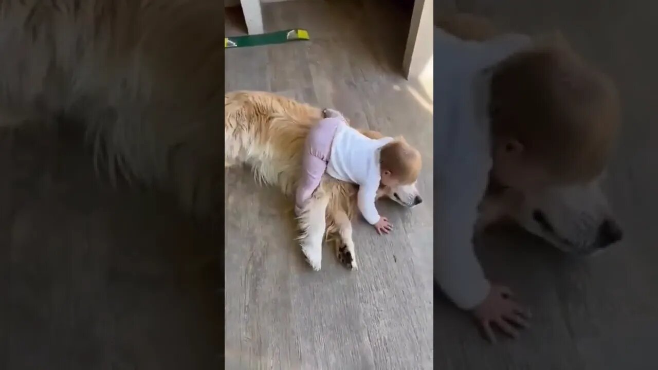 Cute baby girl hugging a dog! 👶🐶 #shorts