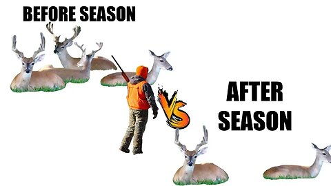 What percent of bucks are killed every deer season?