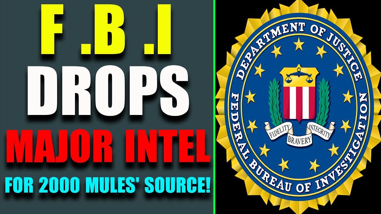 RELEASES MASS EVIDENCES: FBI DROPS A MAJOR INTEL FOR 2000 MULES' SOURCE - TRUMP NEWS