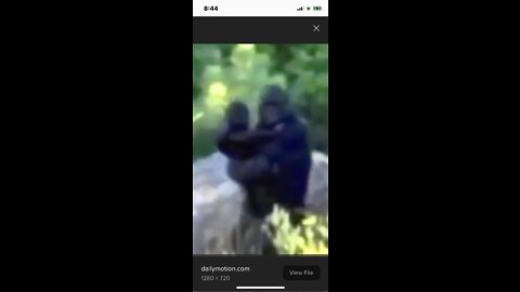 BIGFOOT