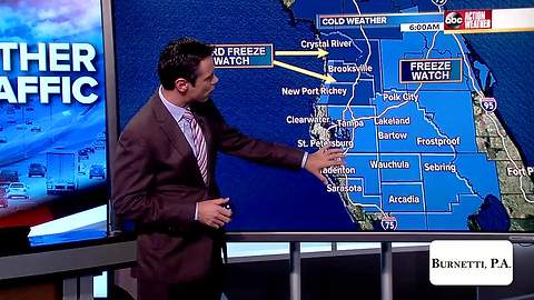Freeze Watch issued for Tampa Bay