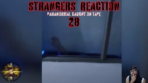 STRANGERS REACTION. Paranormal Caught On Tape. Paranormal Investigator Reacts. Episode 28