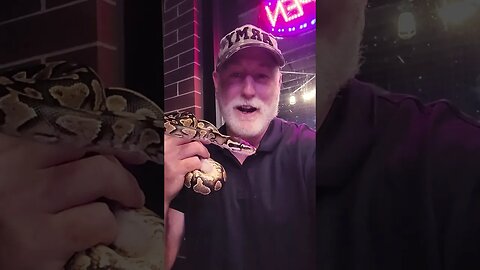 Snakes like music , live Boa, live bands in Streator