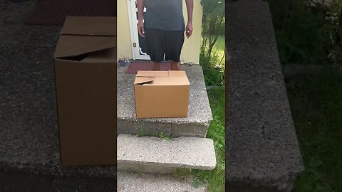 What’s in the box ?