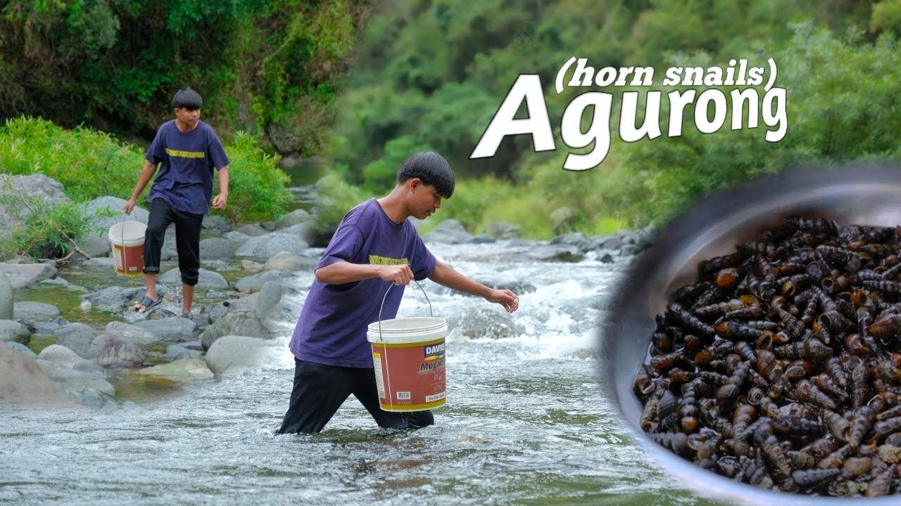 [Story 145]Picking horn snails(agurong/suso) in the river and cooking dinner for the family!