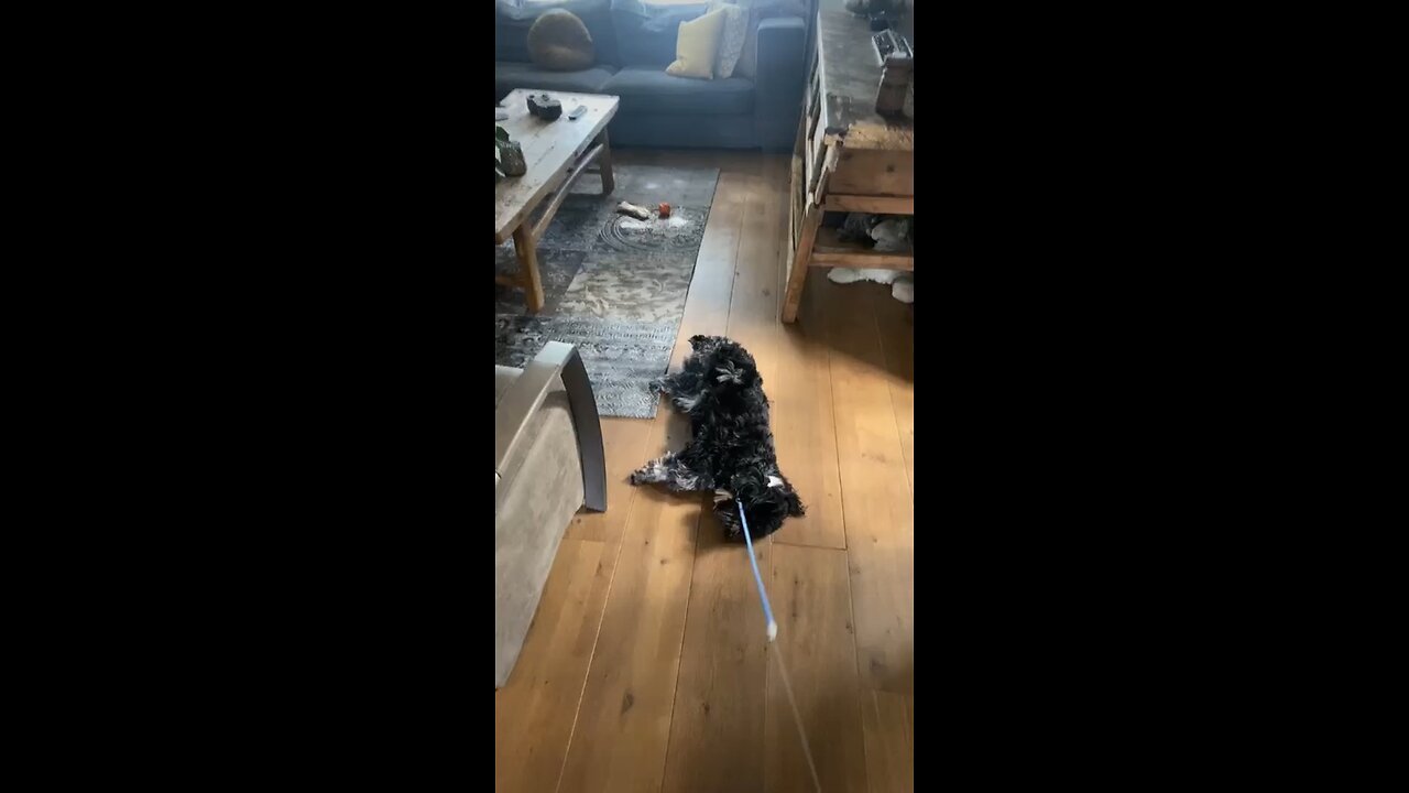 Lazy day