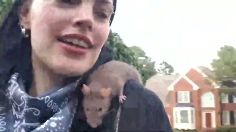 SHOPPING WITH MY PET RAT!