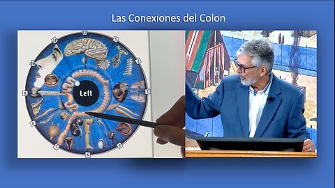 Las Conexiones del Colon