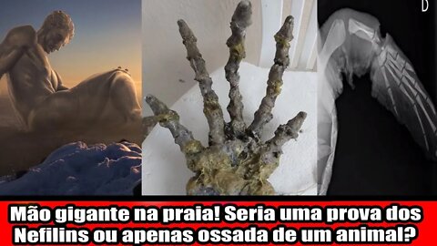 MÃO GIGANTE NA PRAIA!!! SERIA UMA PROVA DOS NEFILINS OU APENAS OSSADA DE UM ANIMAL!!!