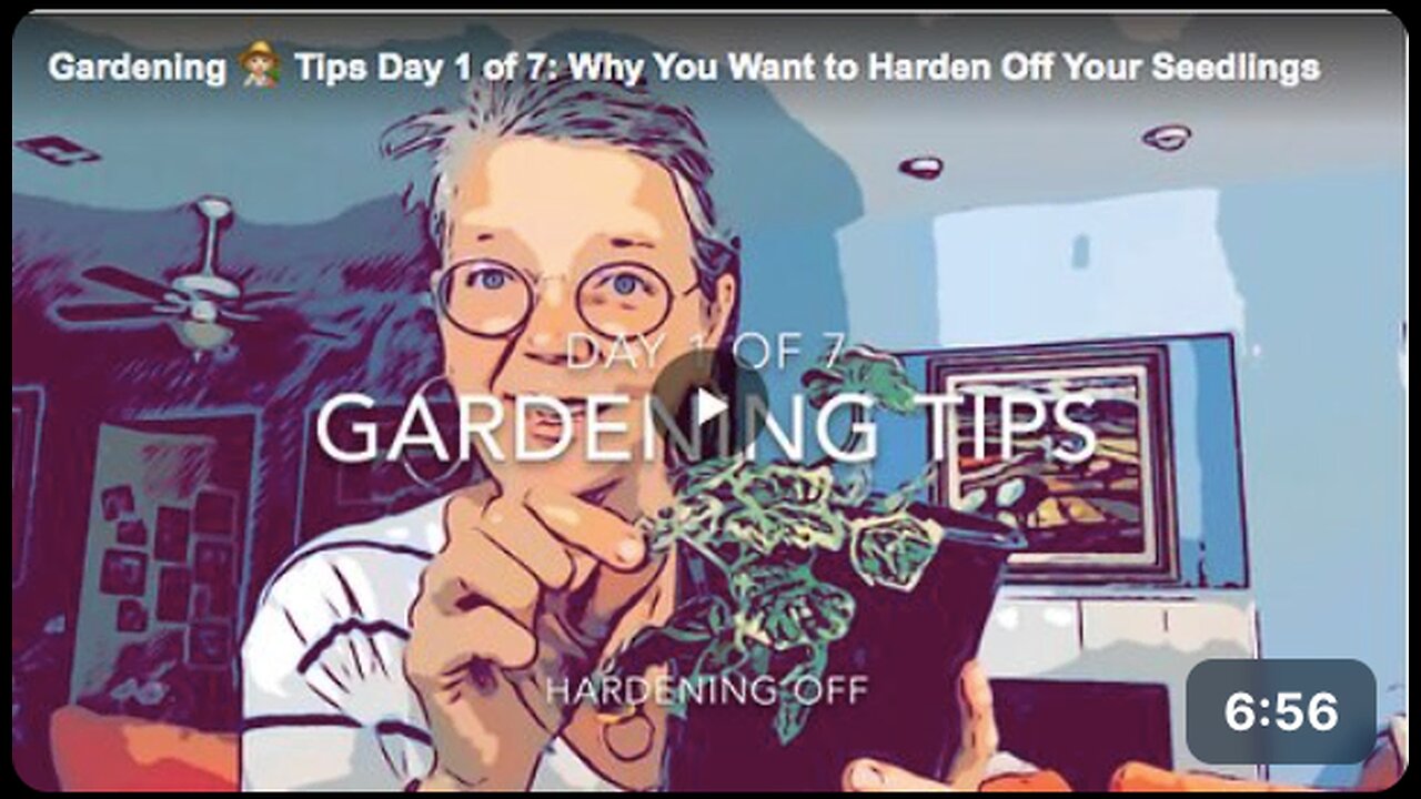 Find out why you should harden off your seedlings