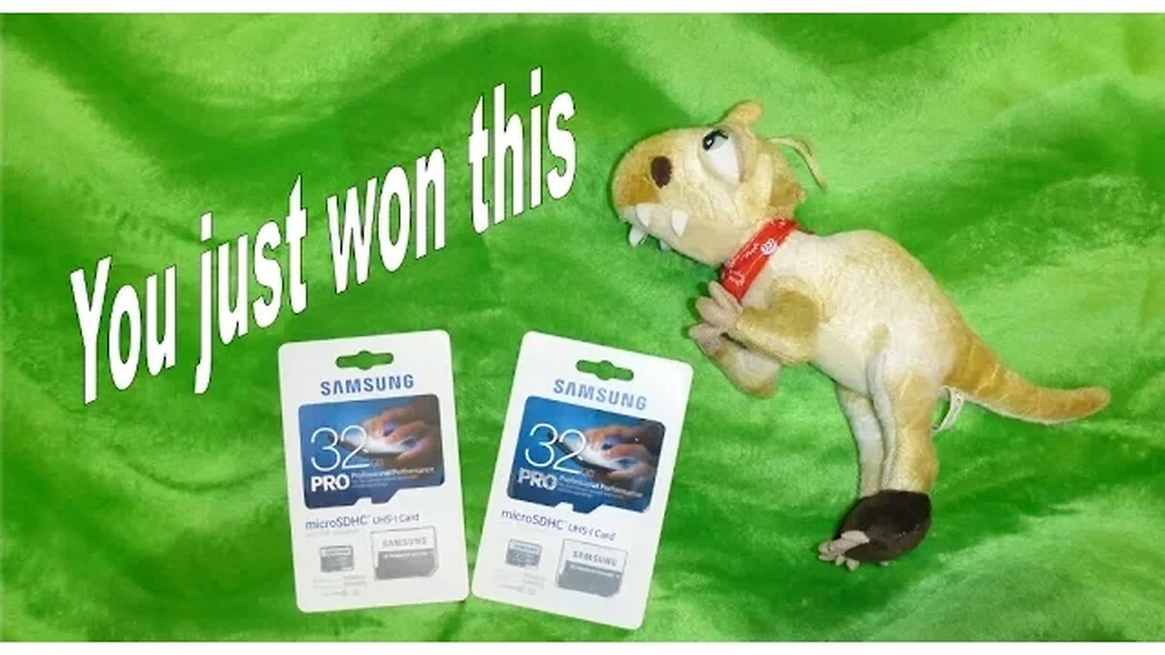 We got the winners of 32GB SD cards and 1 plush toy.