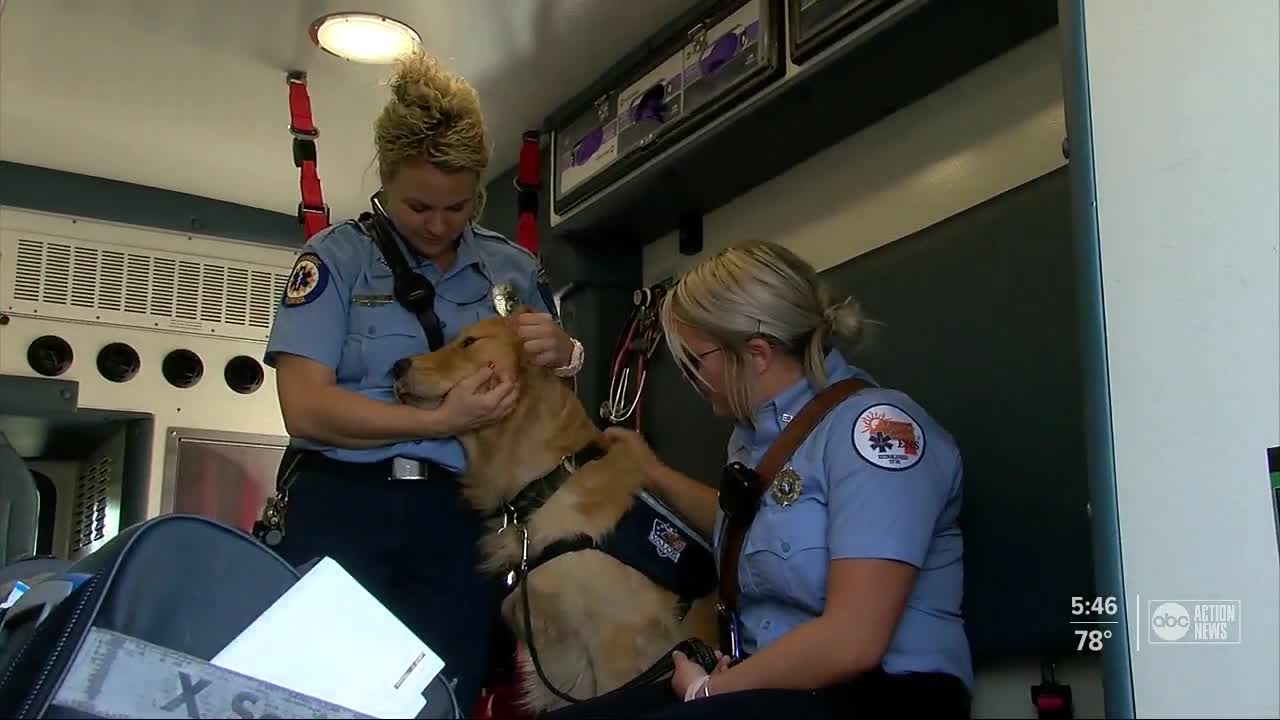 Manatee County first responders receive emotional support dogs