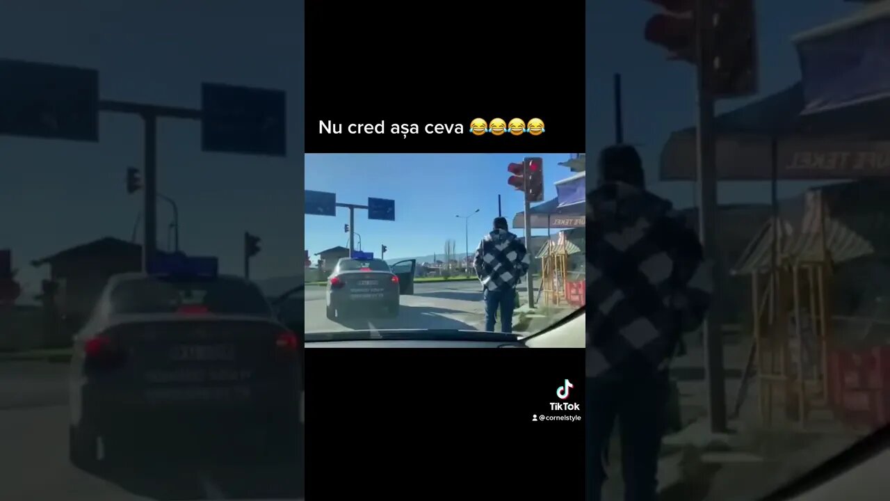copilotul