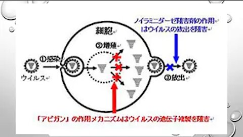 2020.02.01rkyoutube新型コロナウイルス戦争５