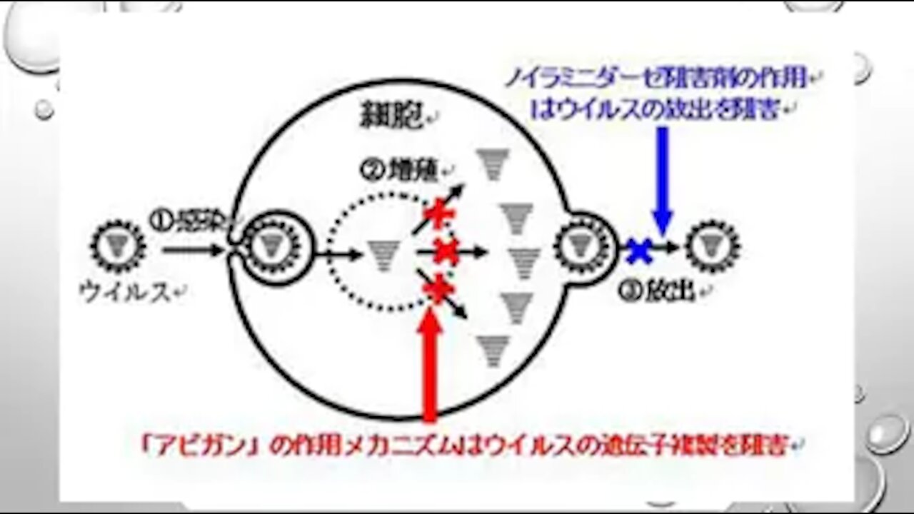 2020.02.01rkyoutube新型コロナウイルス戦争5