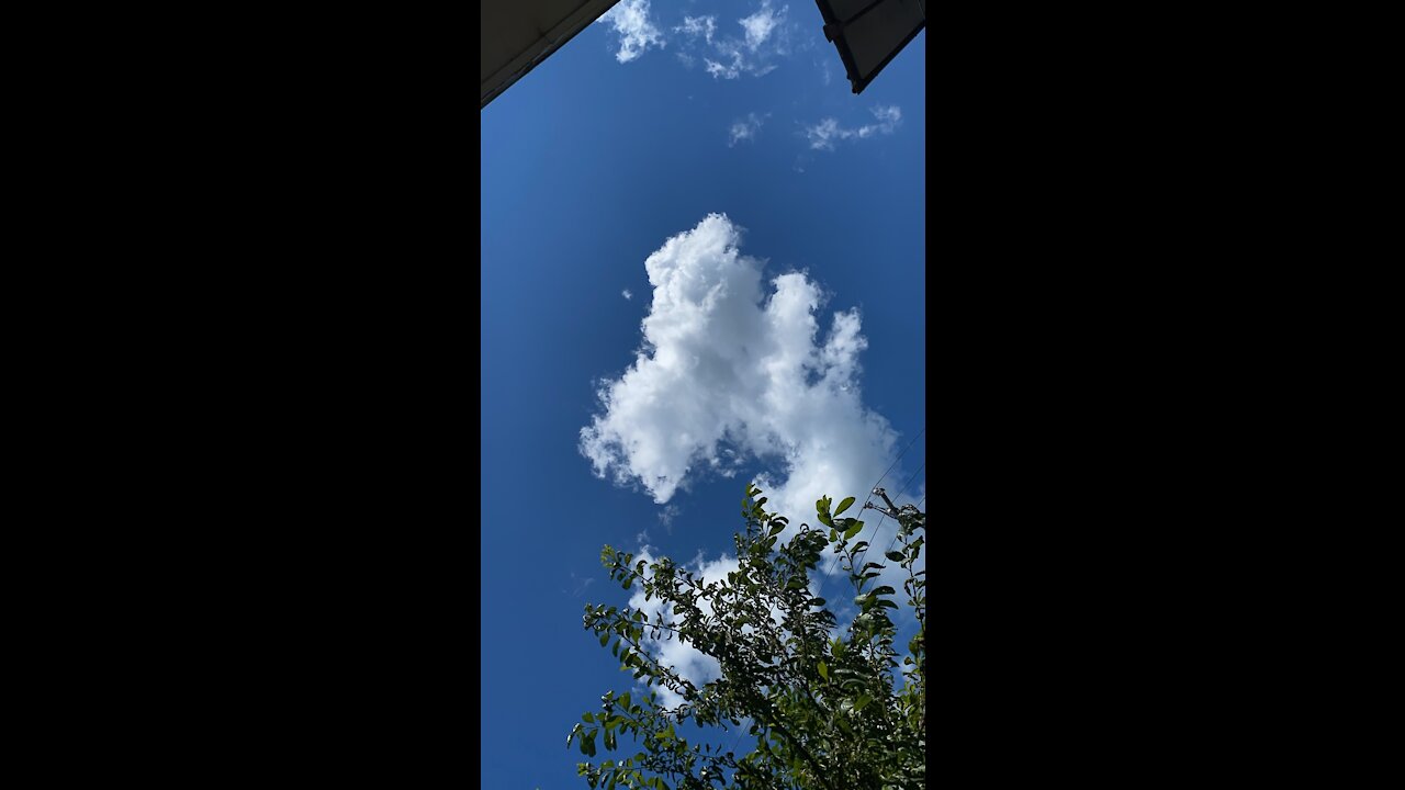 plane or ufo.. in time-lapse (o_o)
