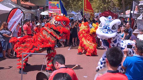 Lion Dance Drumming Chung Wah Chinese New Year Perth Australia