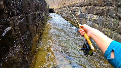 Catching TROUT out of a Roadside DITCH??