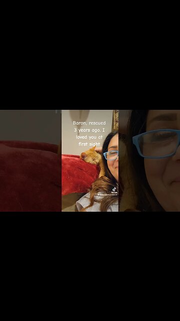 Rescue Cat Baron I loved from first sight