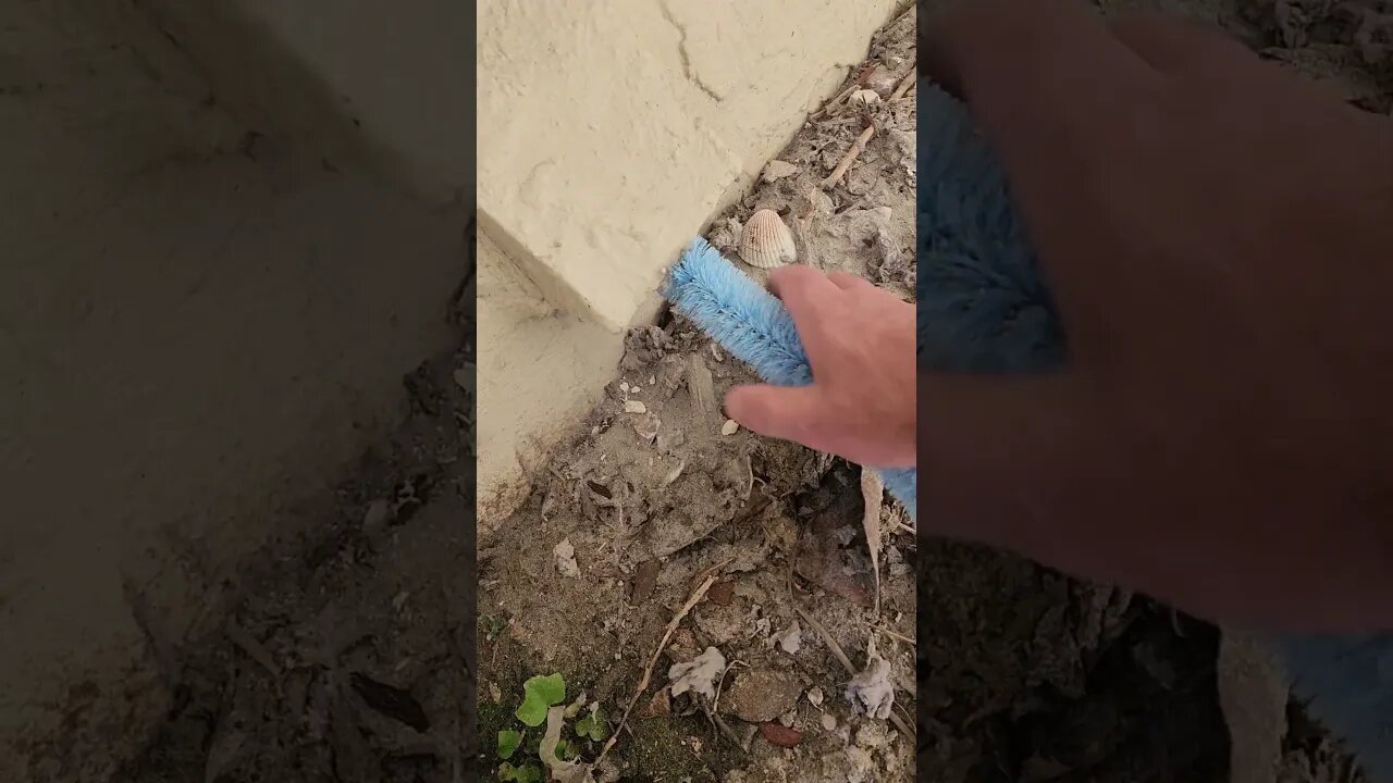 quick dryer vent cleaning #oddlysatisfying #satisfyingvideo #dryerventcleaning