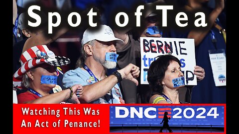 Spot of Tea - Nelson and the DNC 2024 Convention