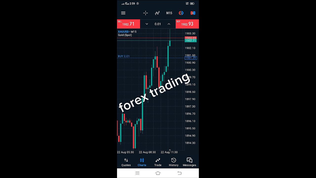 Forex trendy skills ! Major knowledge for any beginneer