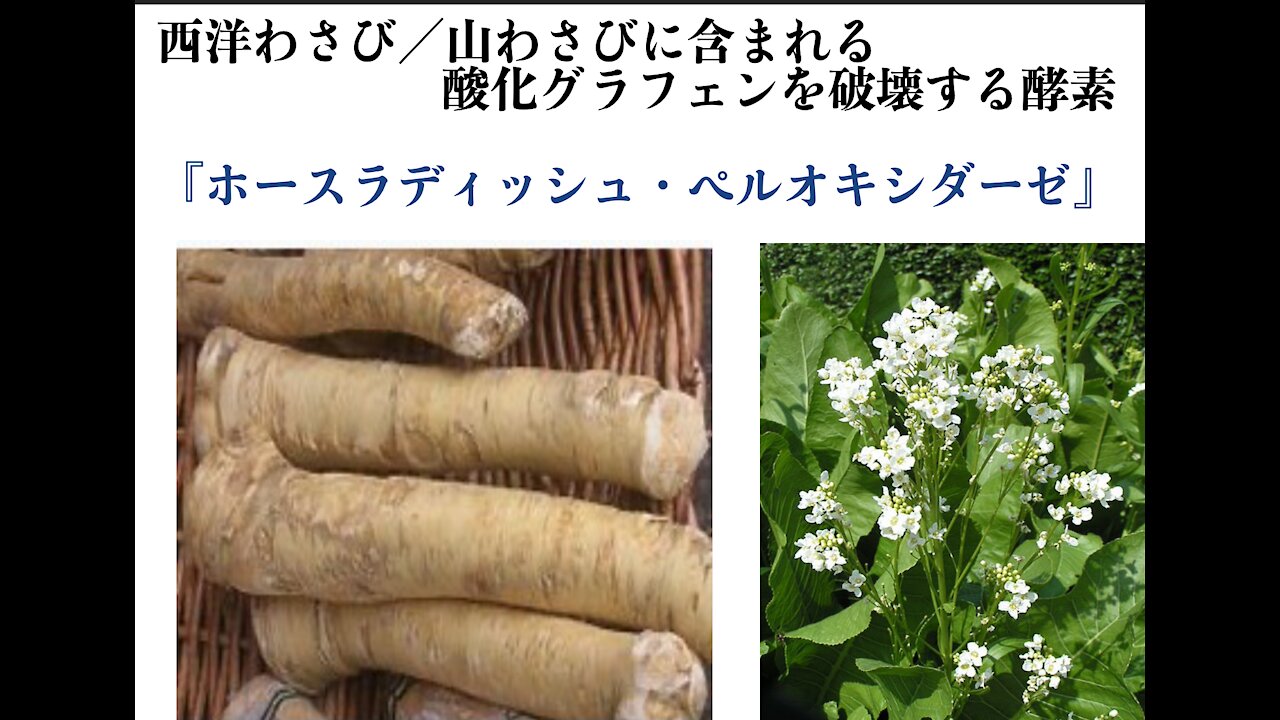 Horseradish's secret weapon to destroy Graphene Oxide