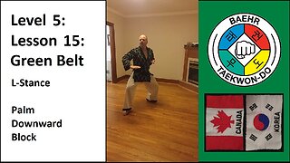 Baehr Taekwondo: 05-15: Green Belt: L-Stance - Palm Downward Block